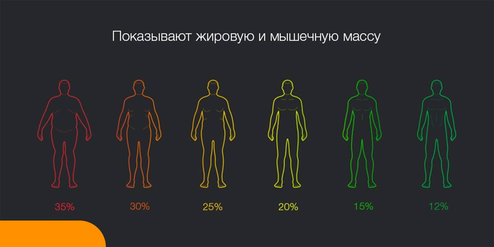 Mi body 2. Состав тела человека. Диагностика состава тела. Форма тела по умным весам. Весы Сяоми типы телосложения.