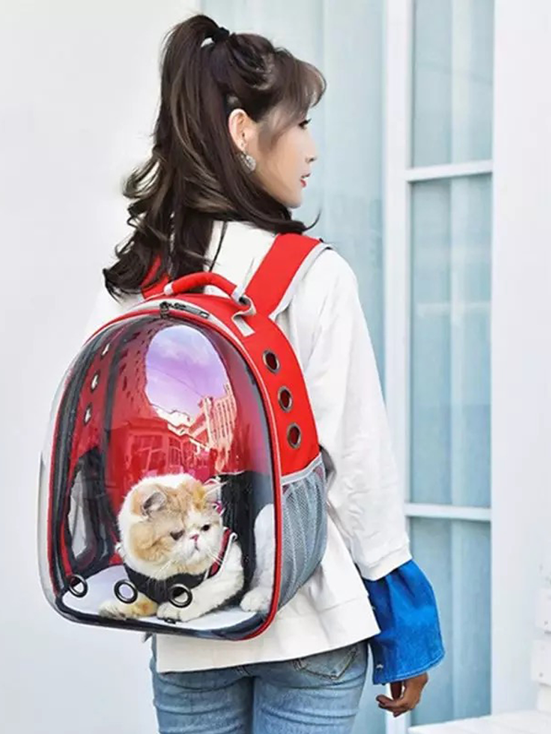 Купить рюкзак переноску для кошек. Рюкзак для переноски животных прозрачный Space Capsule. Сумка-переноска Loffepet рюкзак "космический турист" /Pet-g08xb022-1302/. Рюкзак переноска для кошек прозрачный.