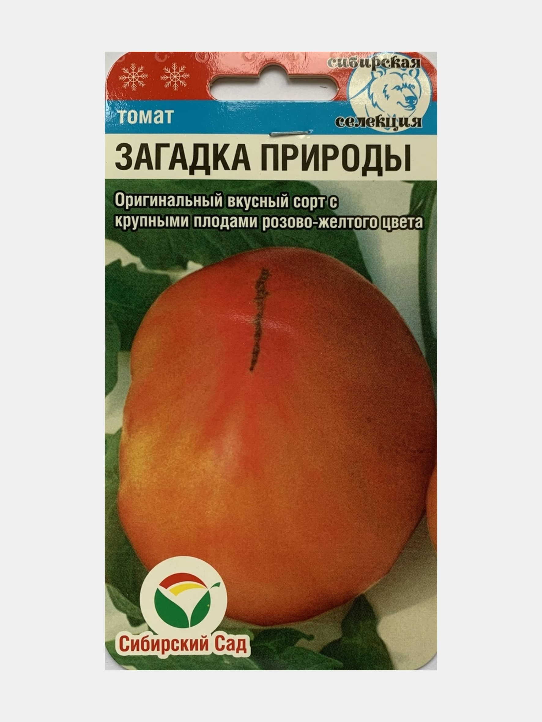 Помидор загадка описание сорта фото. Томат загадка природы. Семена помидор загадка природы. Семена томат загадка природы. Ребус томат.