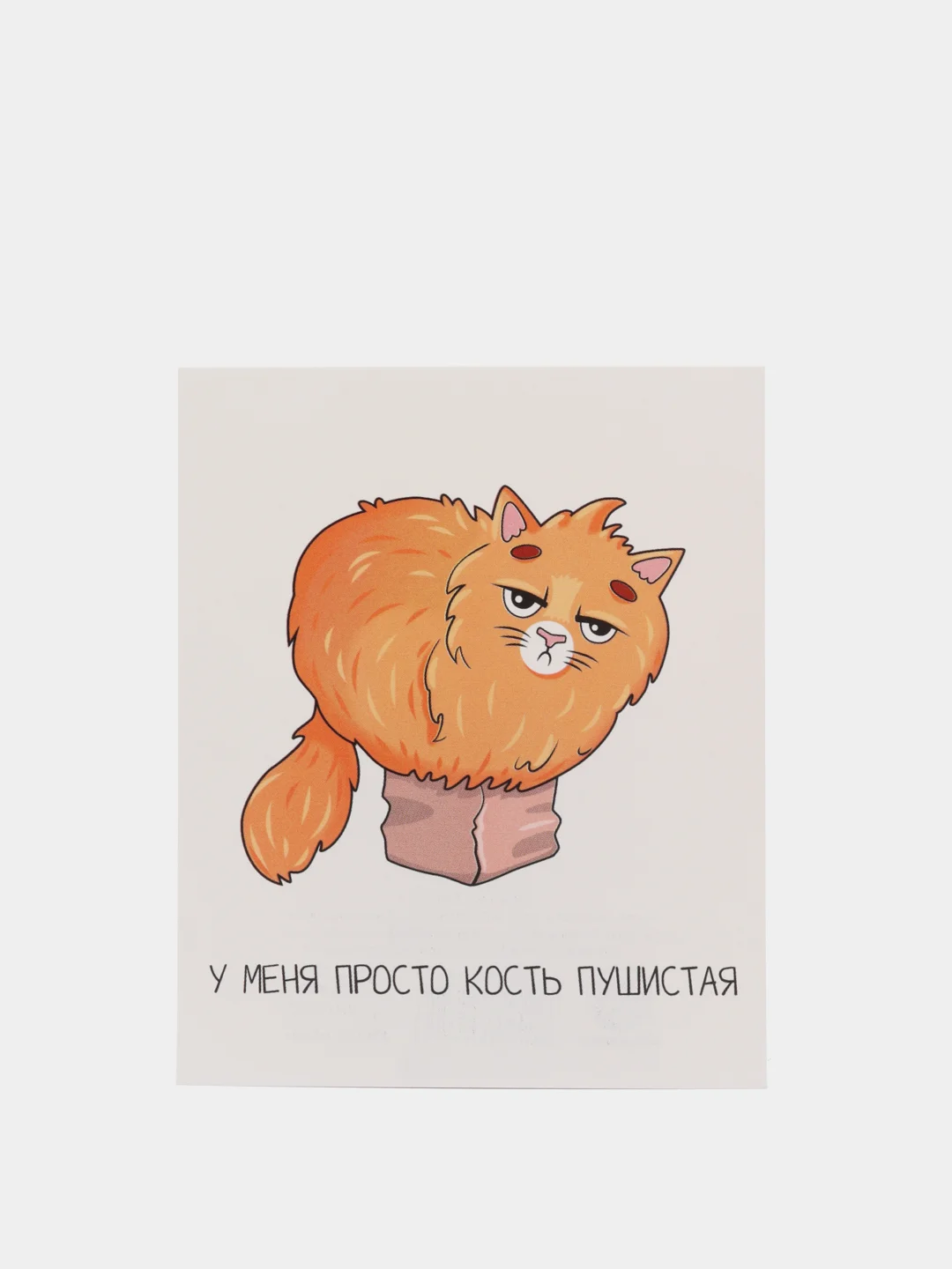 Картинки кость пушистая