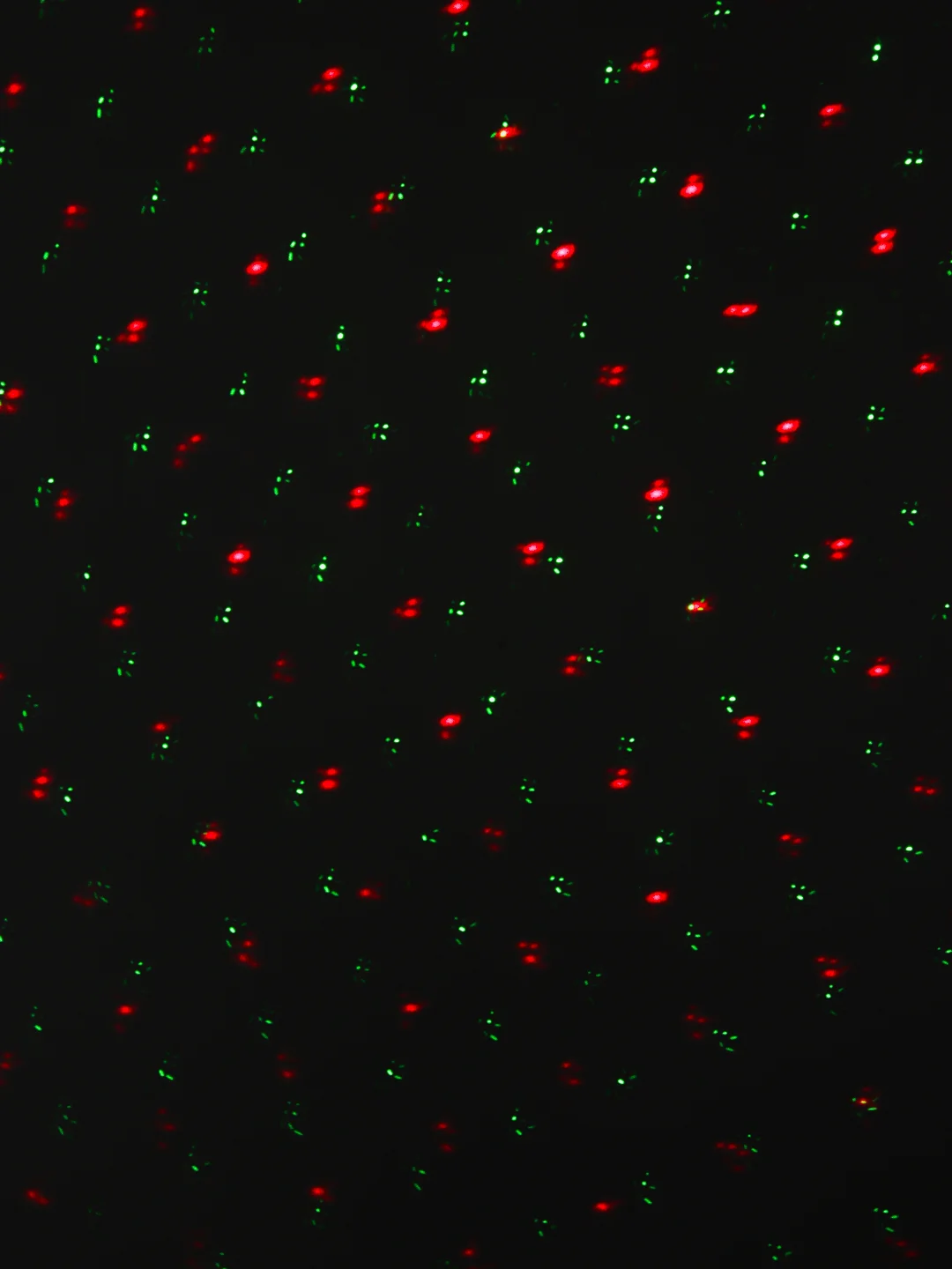 Лазерный проектор Laser Light