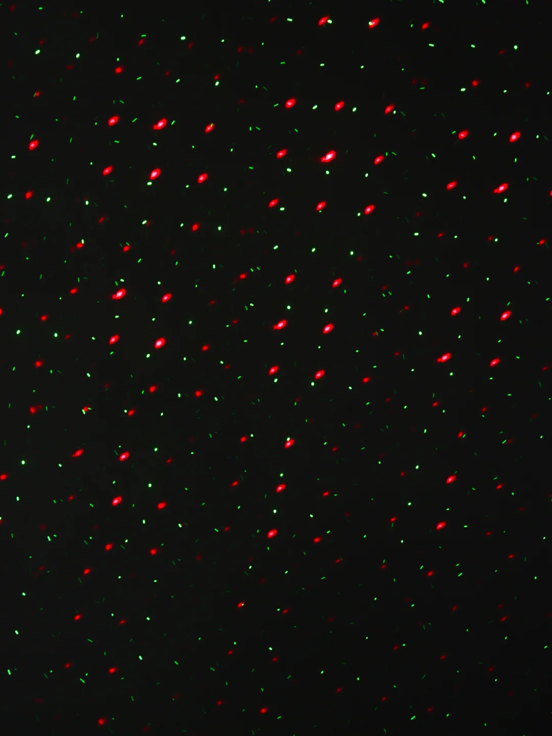 Лазерный проектор Laser Light