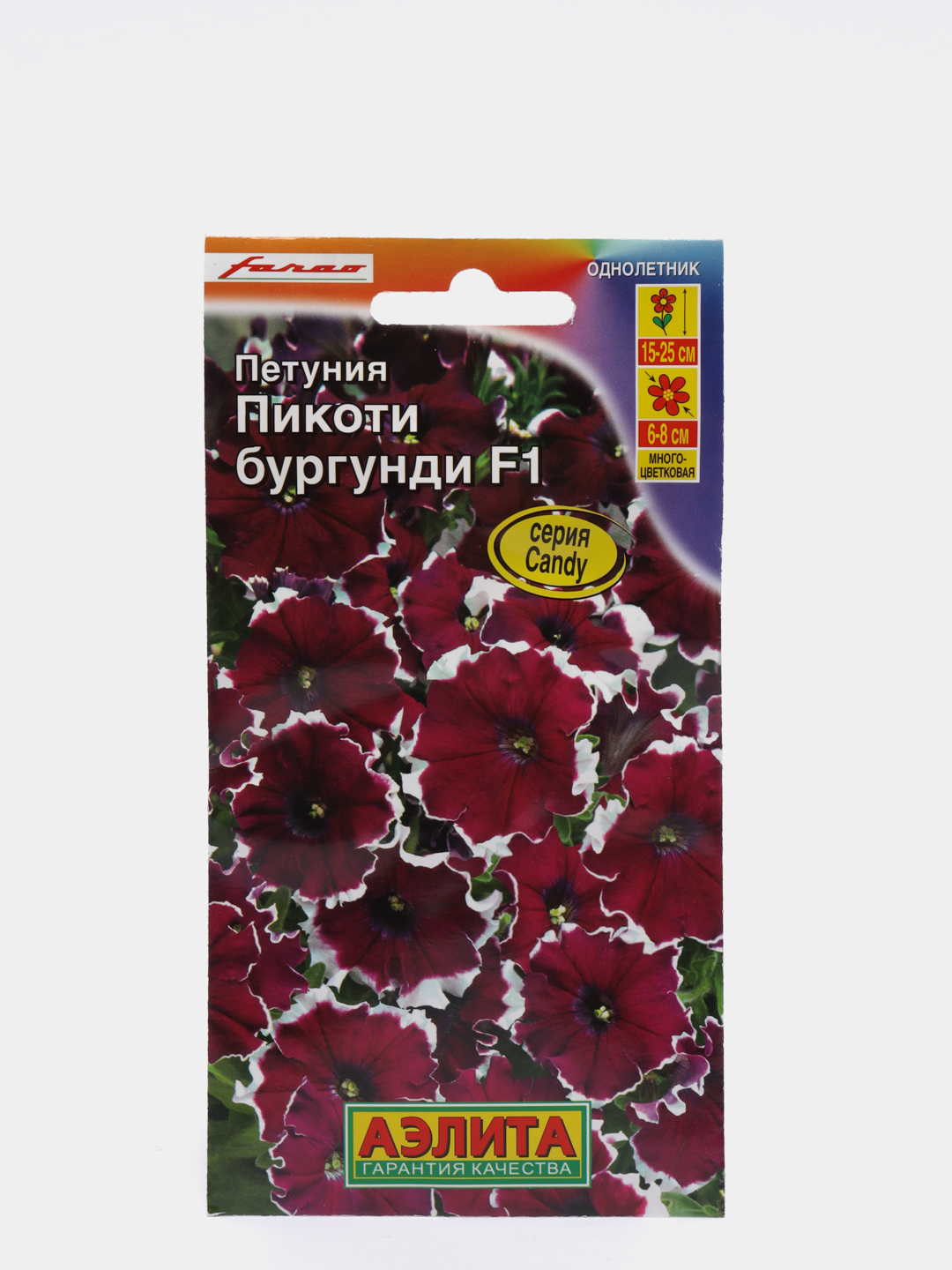 Петуния бургунди пикоти фото