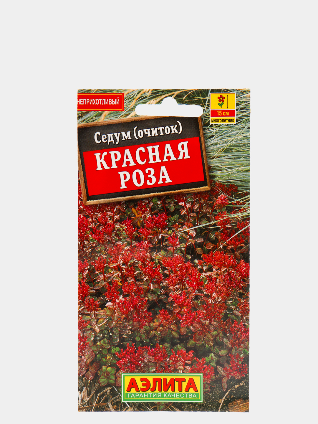 Седум красная роза фото