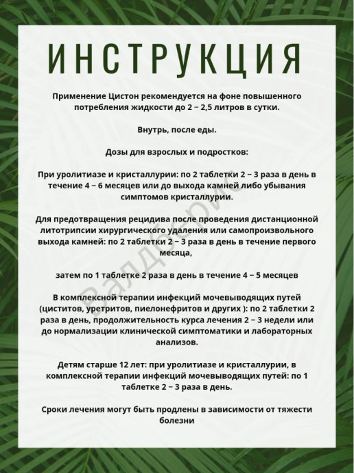 Цистон пить до еды или после. Таблетки цистон показания. Цистон таблетки инструкция. Цистон инструкция. Цистон инструкция по применению.