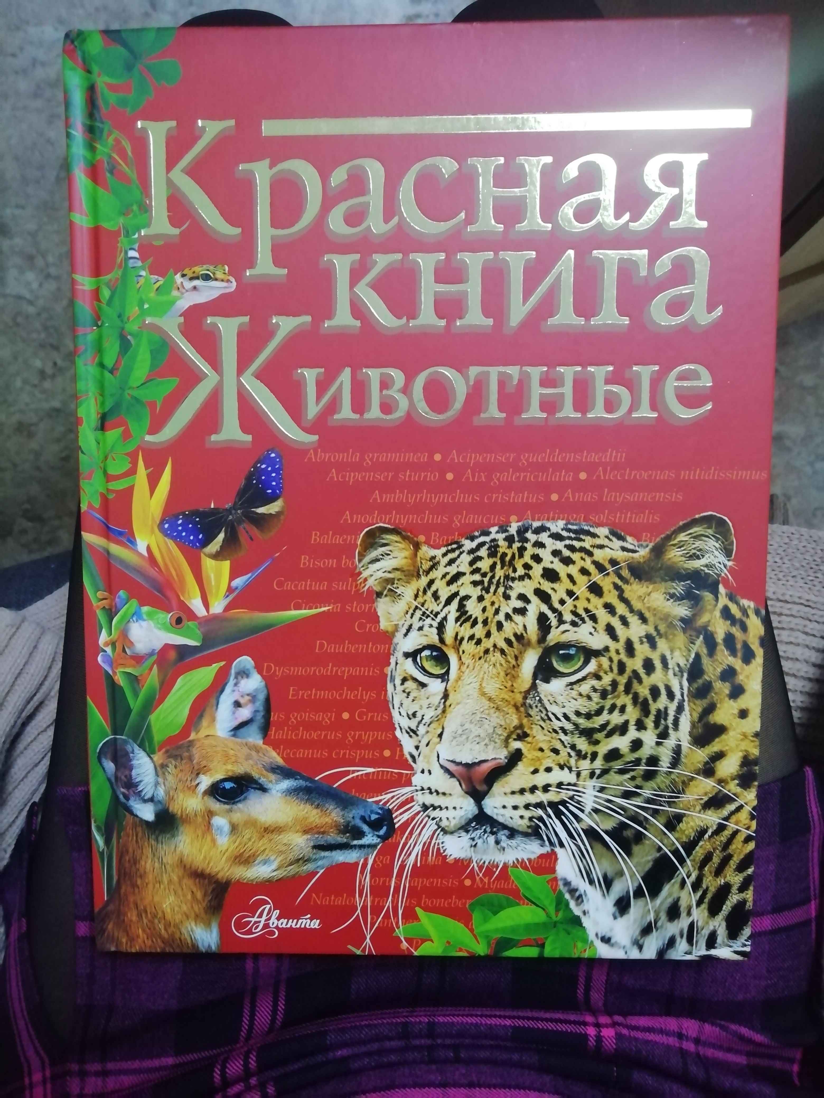 Красная книга. Животные купить по цене 628 ₽ в интернет-магазине Магнит  Маркет