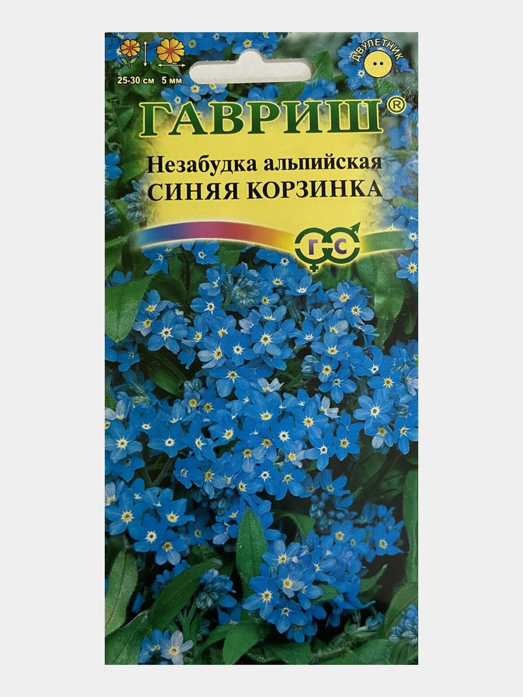 Незабудка синяя корзинка фото