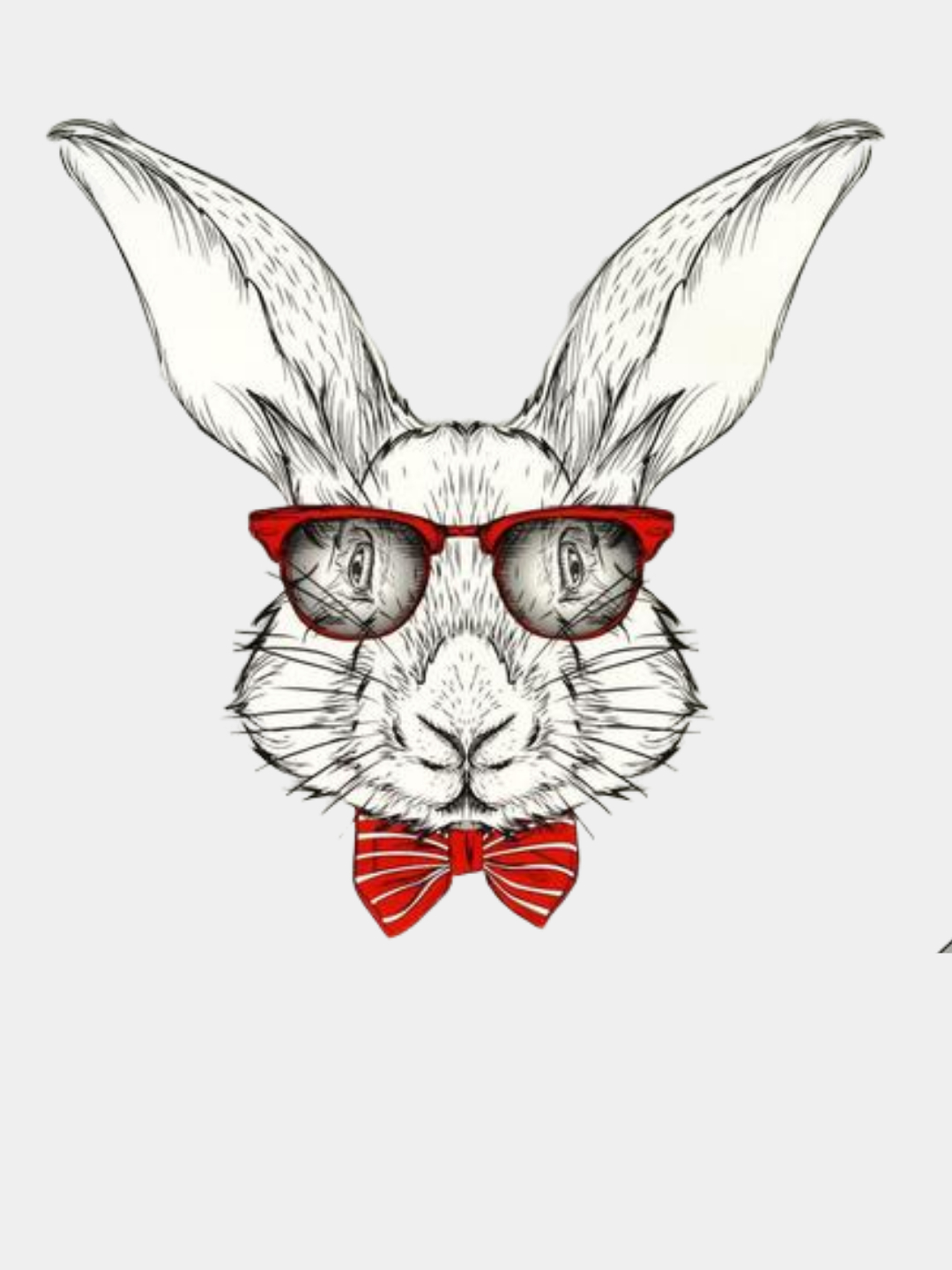 Постер заяц в очках
