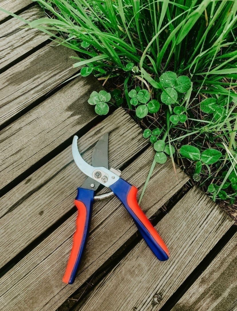  садовый, кусторез, садовые ножницы за 960 ₽  в интернет .