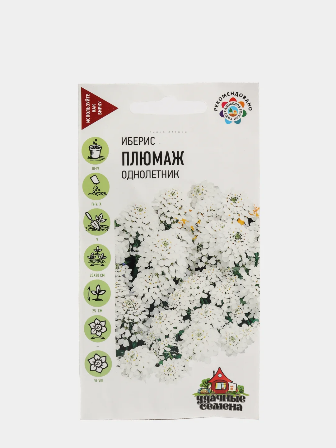 Iberis ib6072. Иберис снежная вьюга. Производитель iberis. Иберис групп. Iberis ib115110.