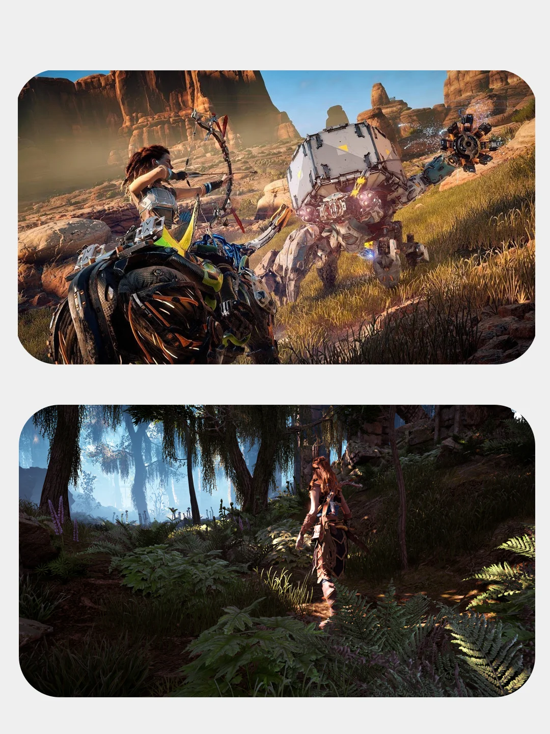 PS4 игра Horizon Zero