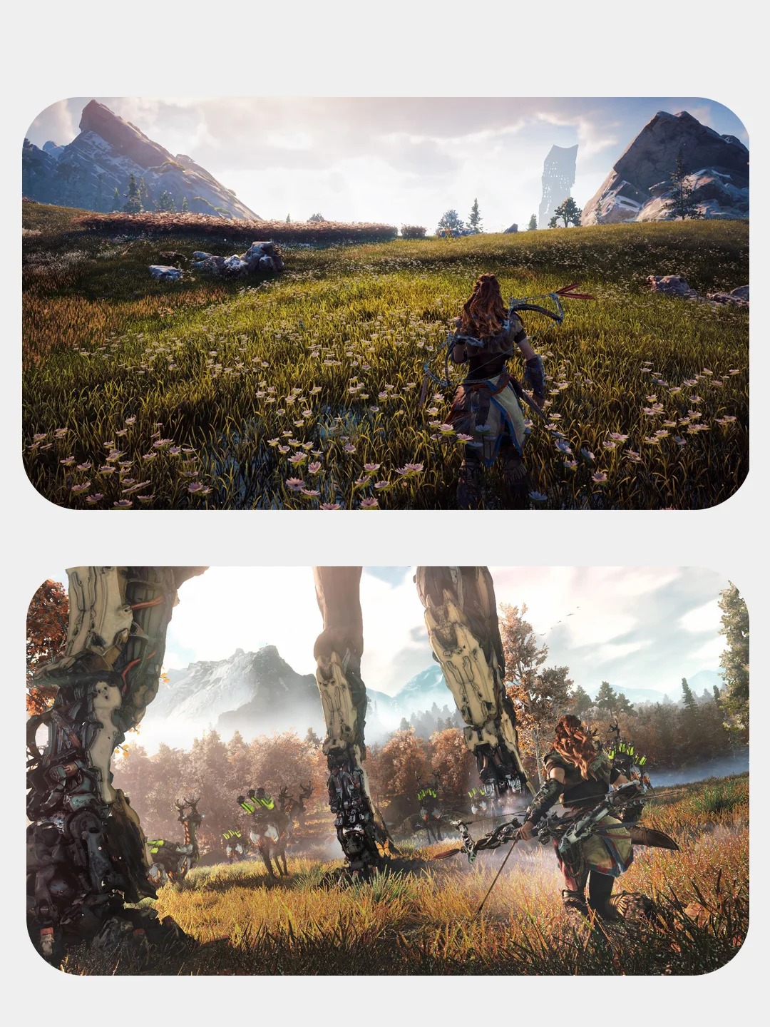 PS4 игра Horizon Zero