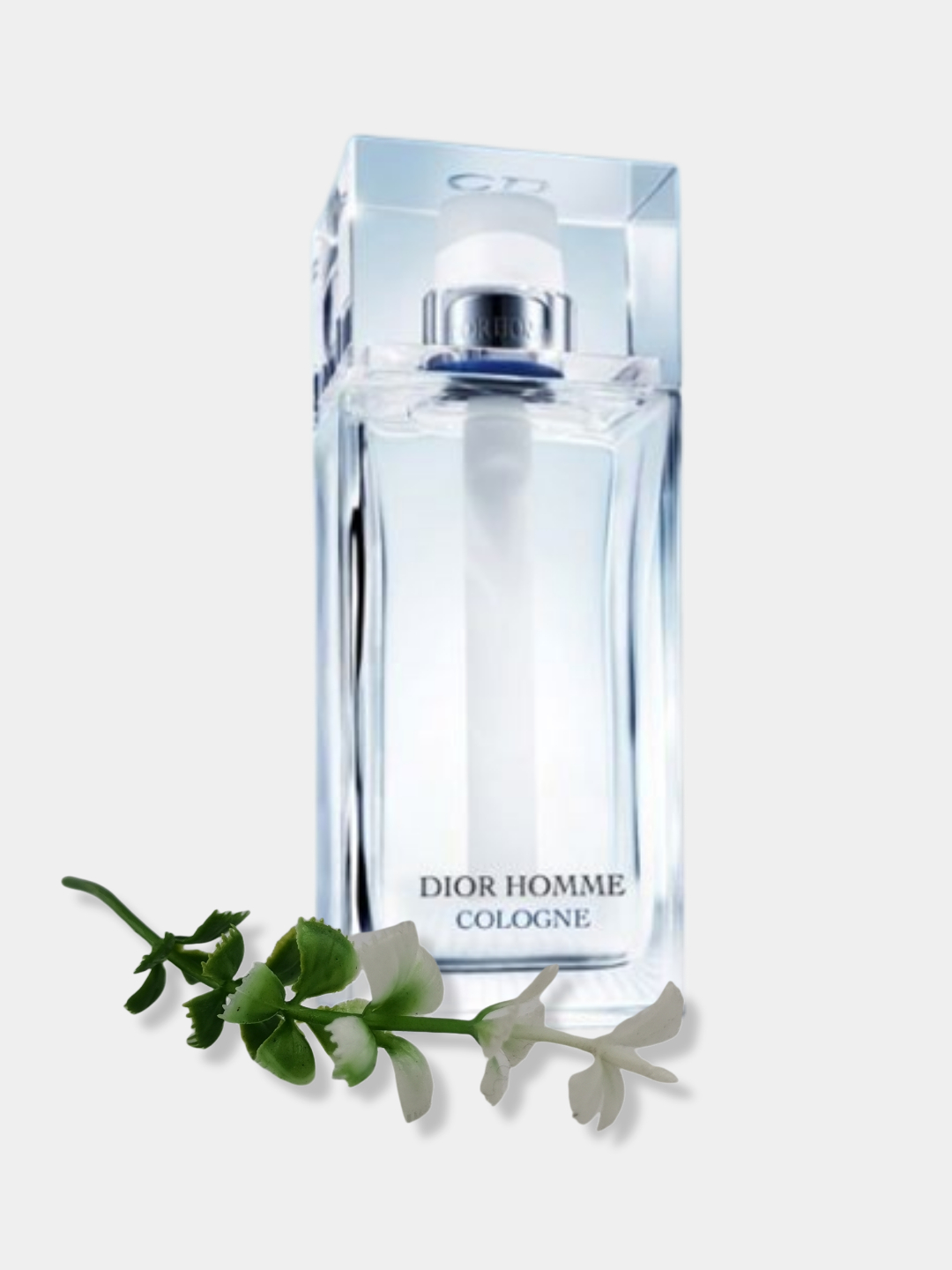 Tổng hợp hơn 68 dior homme цена mới nhất  trieuson5