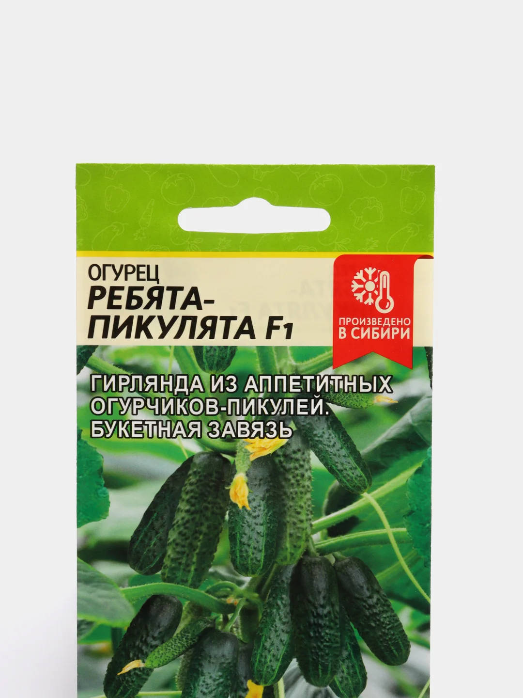 Огурец ребята пикулята f1. Огурец алтай. Ребята пикулята. Огурец ребята пикулята. Ребята пикулята.