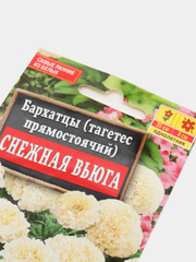 Снежная вьюга бархатцы фото