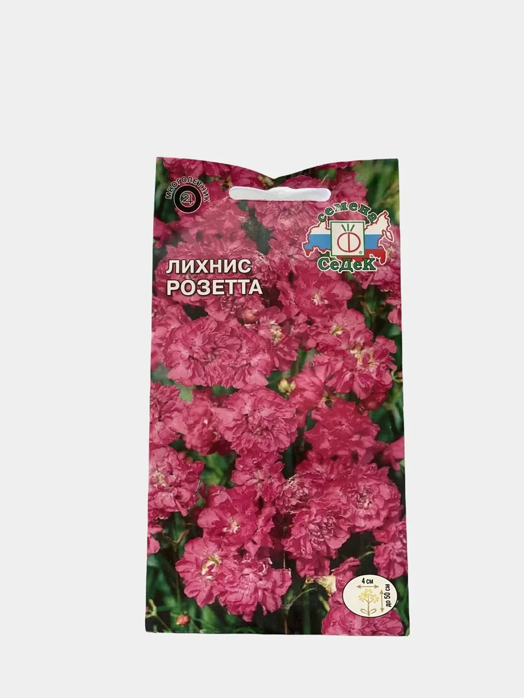 Лихнис розетта