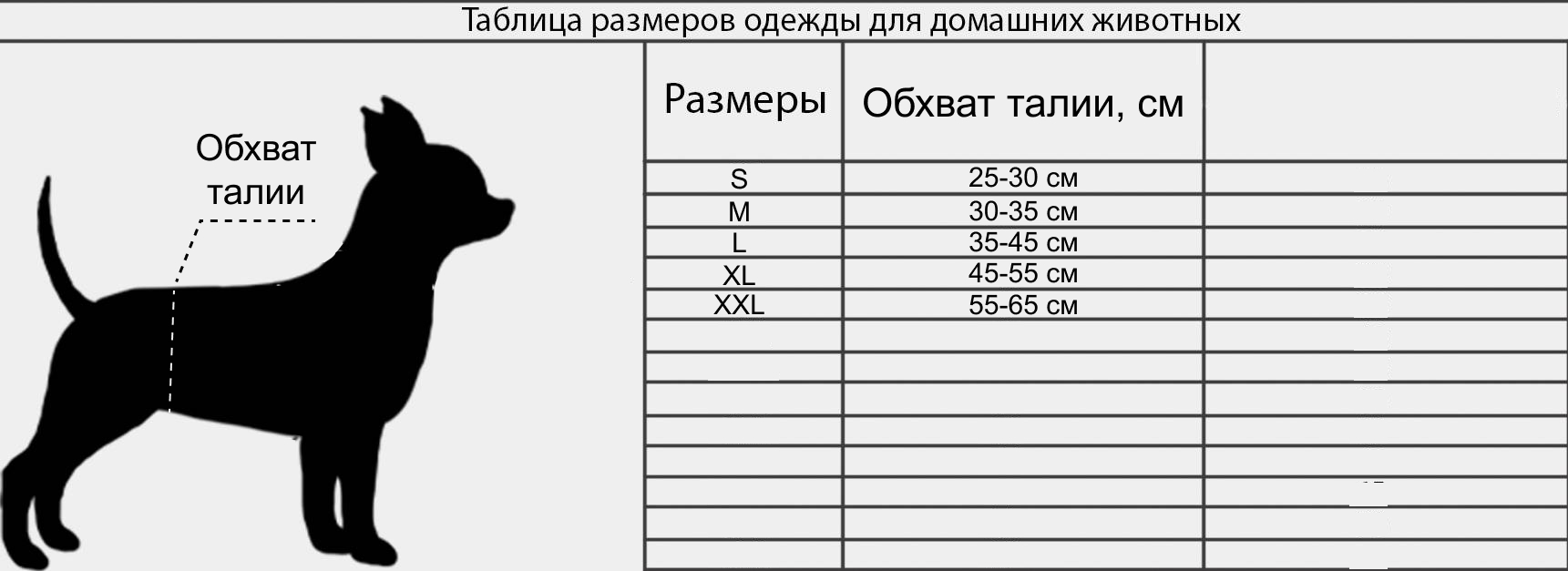 Трусы гигиенические для собак многоразовые на время течки | ⚡ Бесплатная  доставка завтра | AliExpress