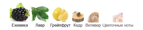 Верхние ноты ежевика Верхние ноты ежевика