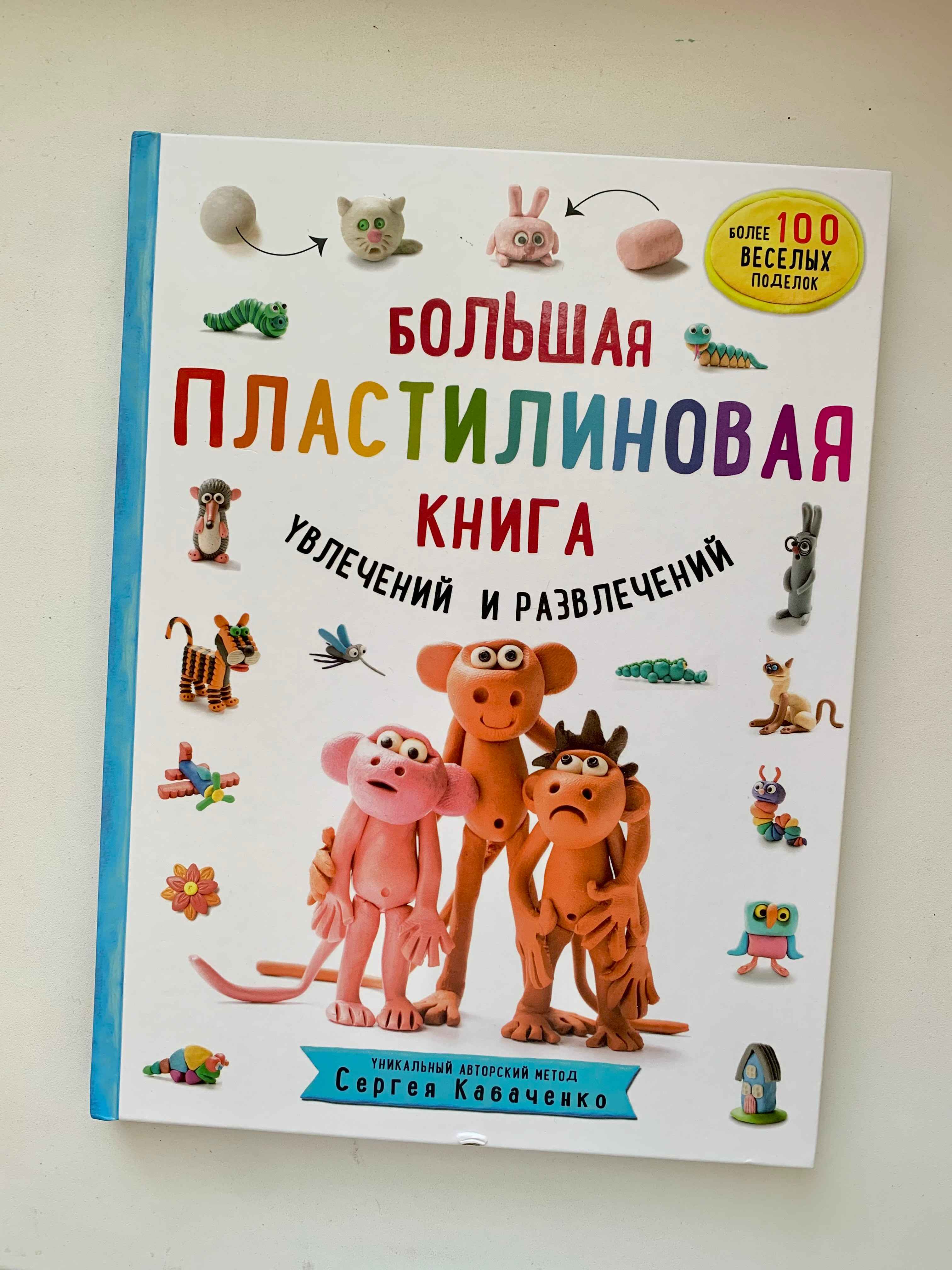 Большая пластилиновая книга увлечений и развлечений (книга 1), Сергей  Кабаченко купить по цене 775 ₽ в интернет-магазине Магнит Маркет