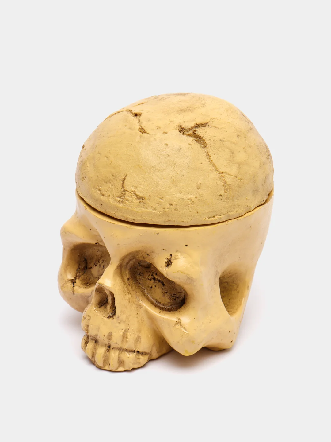 Подставка под тату колпачки с краской Skull