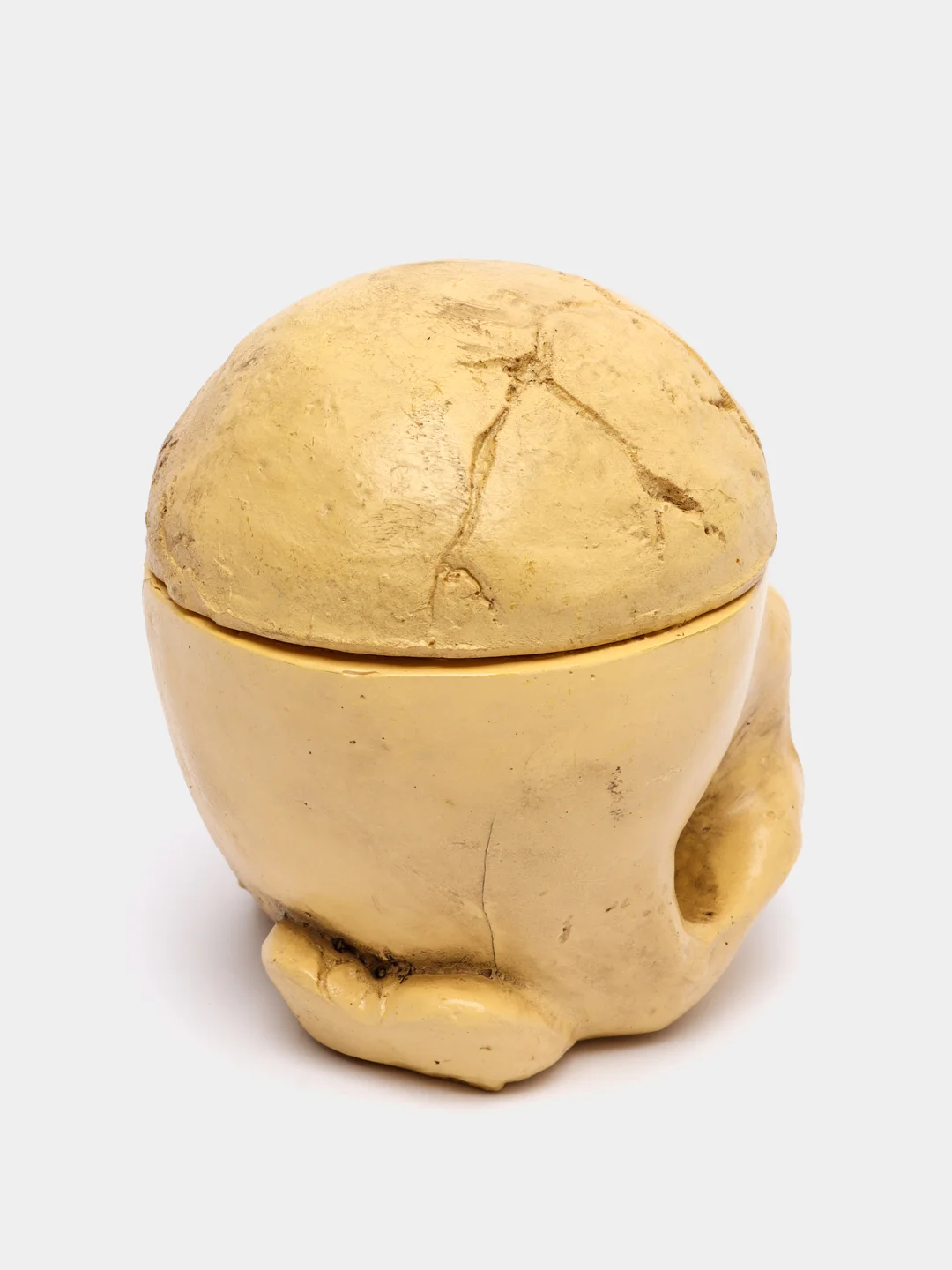 Подставка под тату колпачки с краской Skull