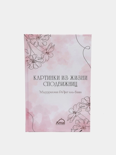 Картинки из жизни сподвижниц книга