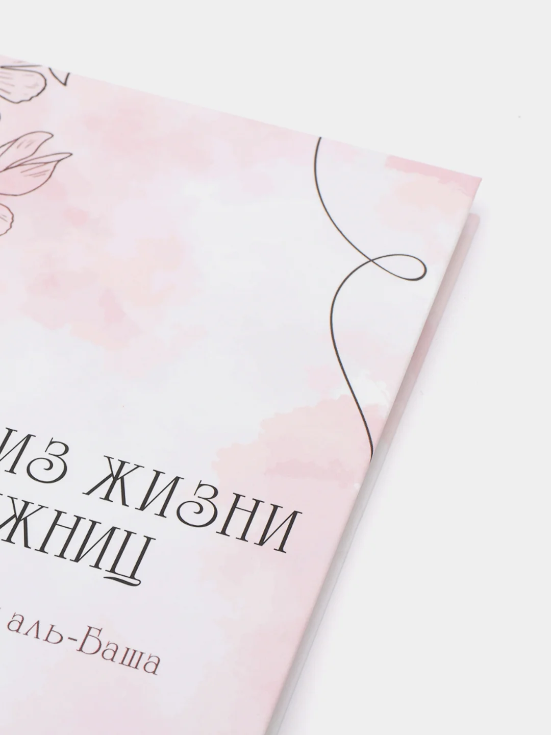 Картинки из жизни сподвижниц книга