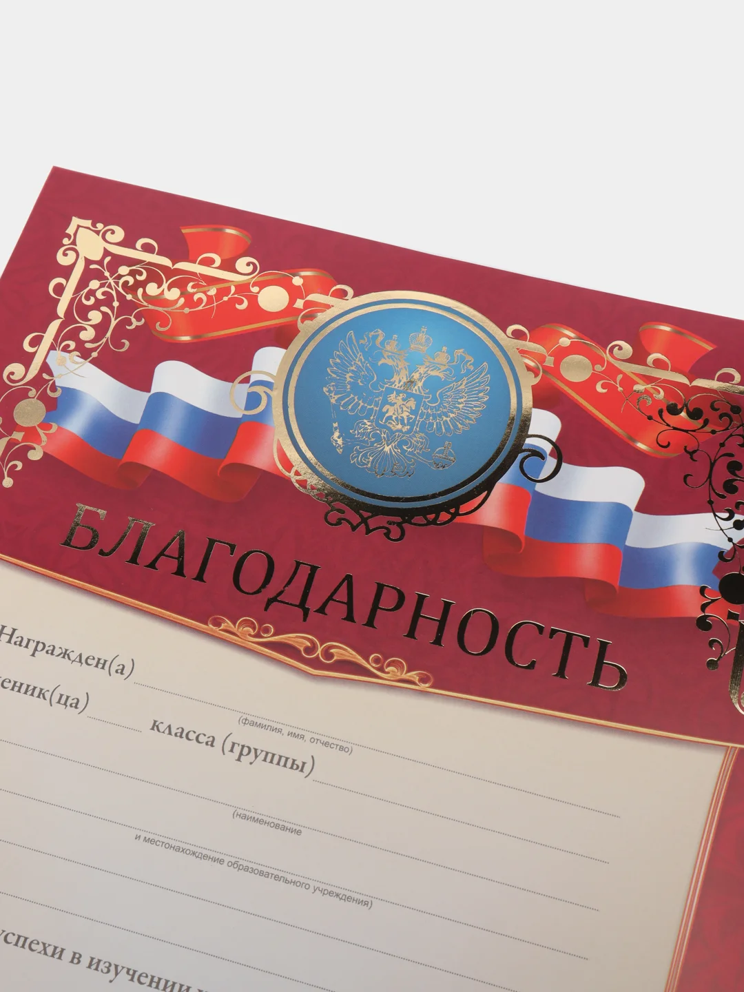 Благодарность, благодарственное письмо, герб РТ, герб РФ, размер 21*29,7 см