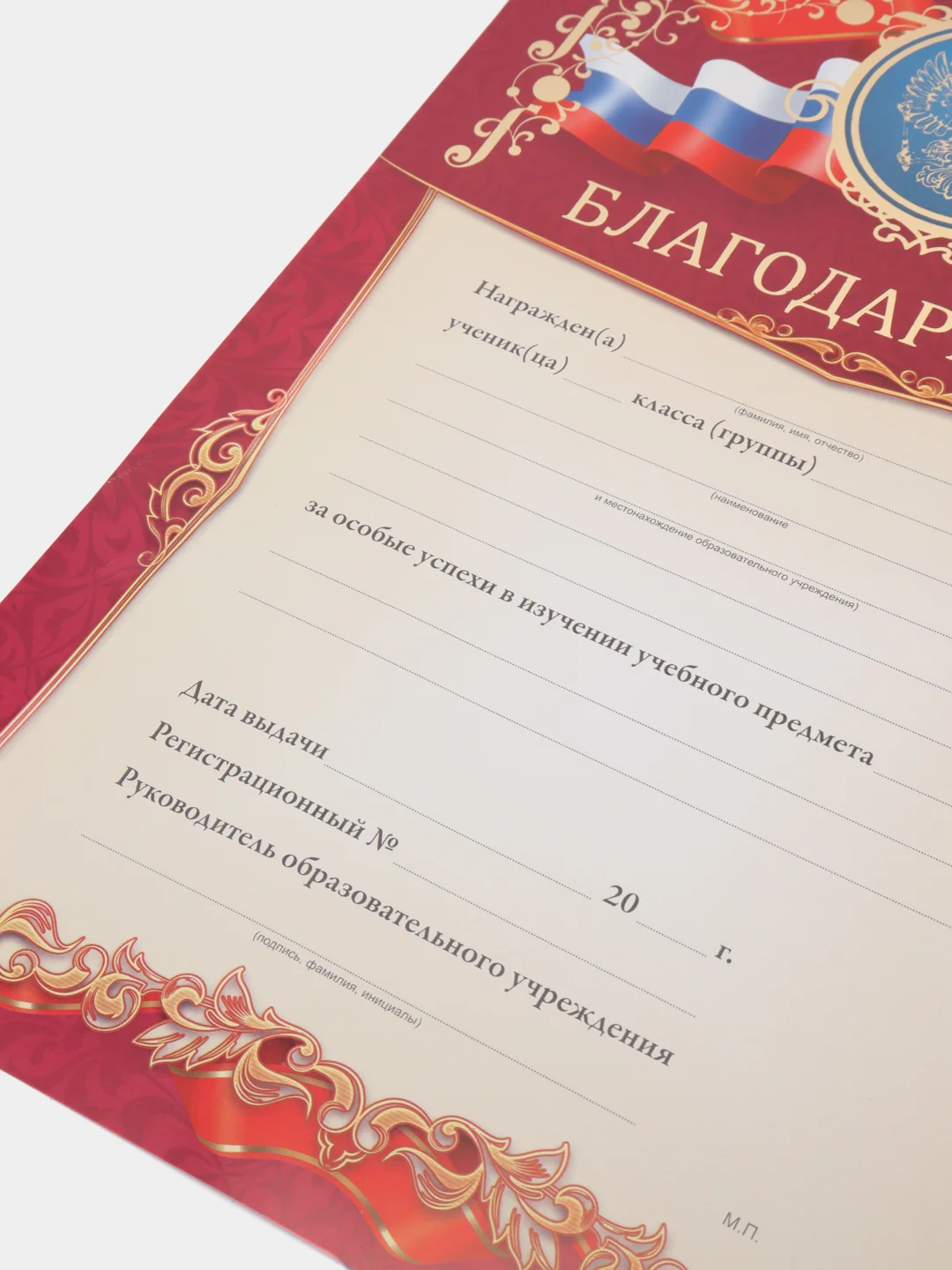 Благодарность, благодарственное письмо, герб РТ, герб РФ, размер 21*29,7 см