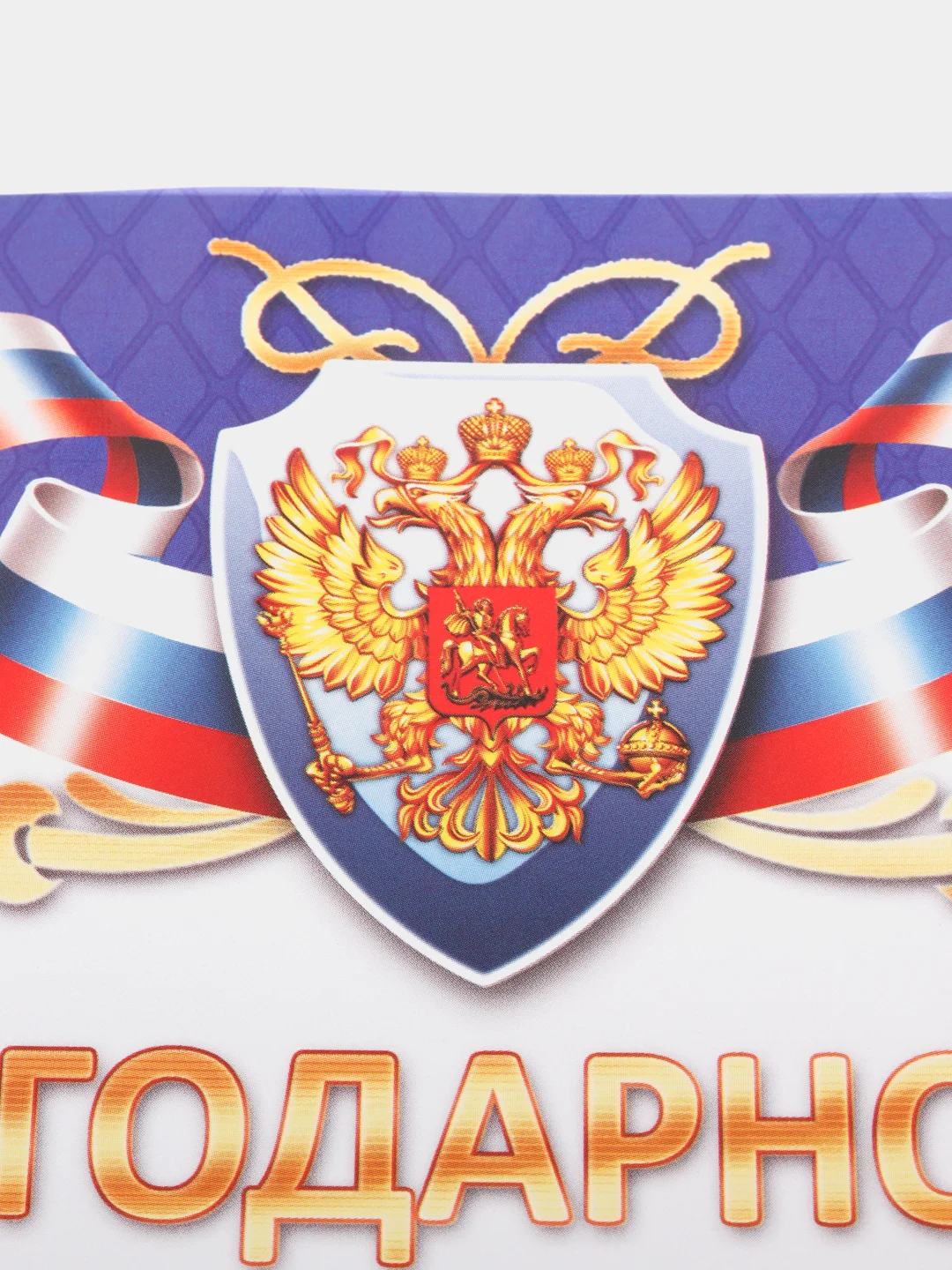 Благодарность, благодарственное письмо, герб РТ, герб РФ, размер 21*29,7 см