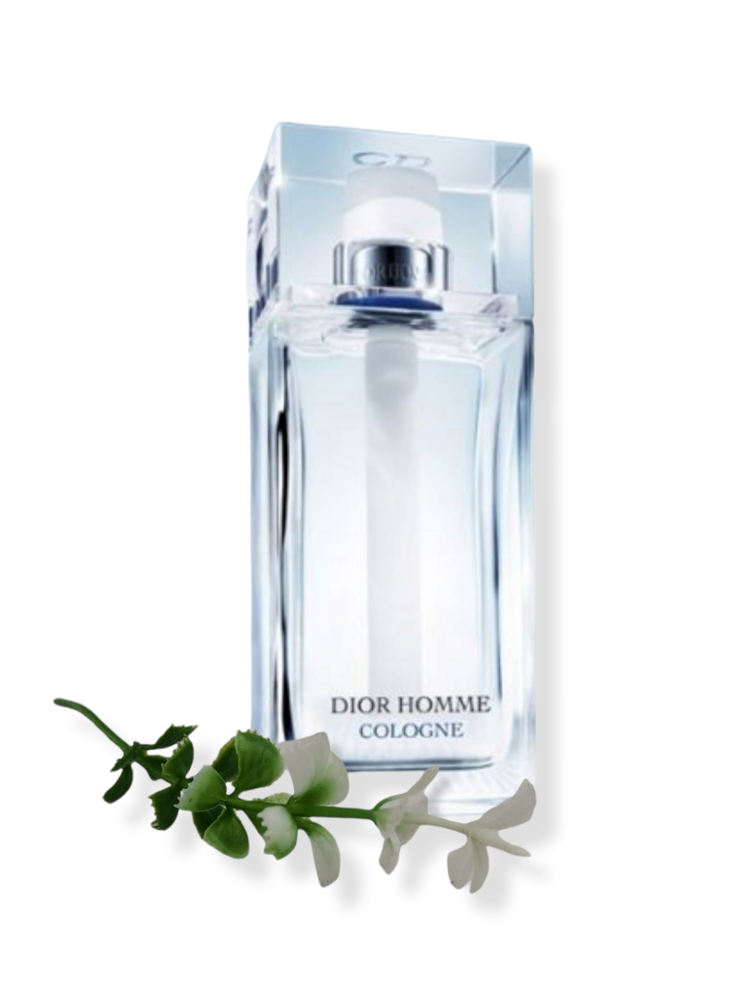 Диор кологне. Диор Колонь. Духи мужские диор Кологне. Dior homme Cologne 2013.