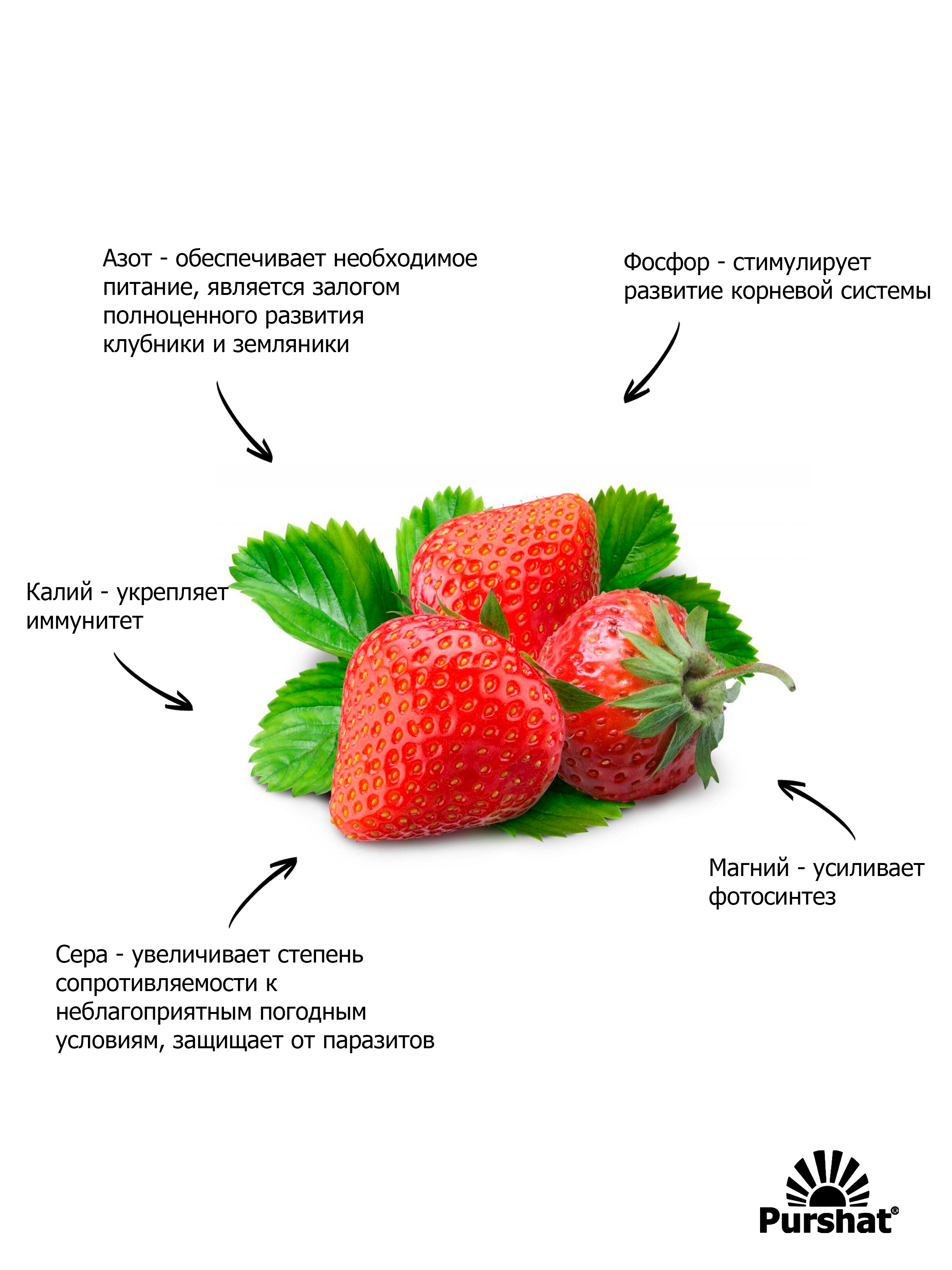 Фертика для клубники и земляники инструкция