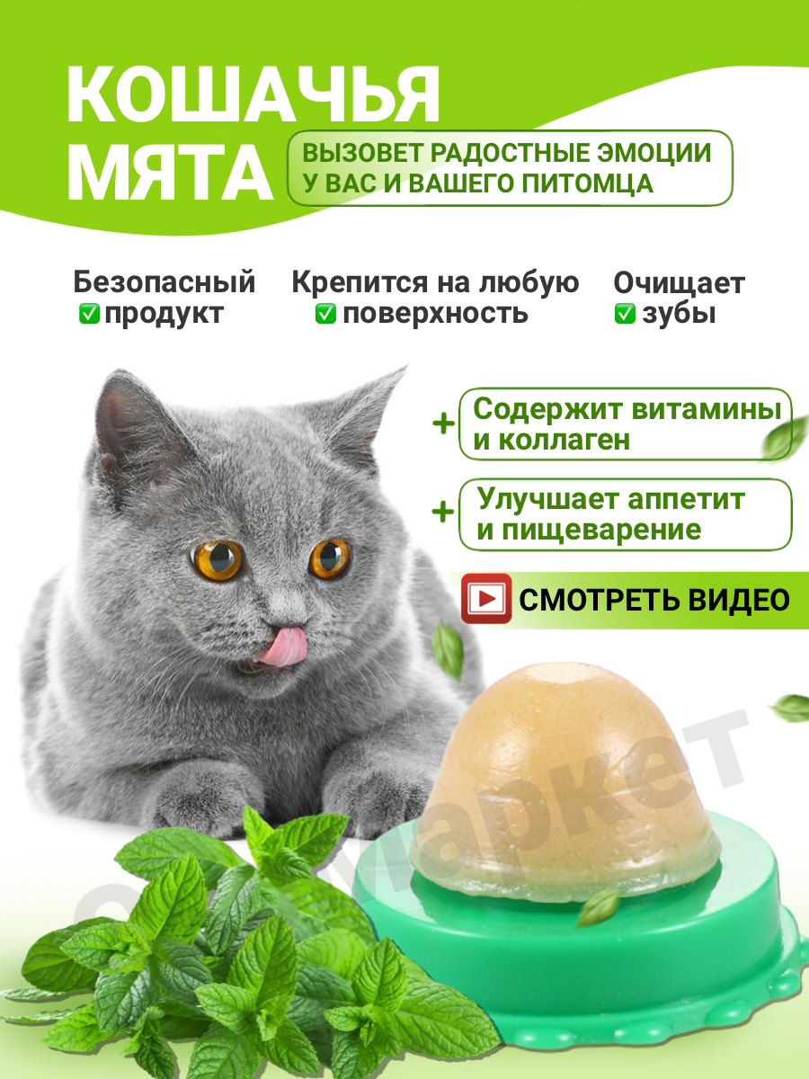 Лакомства для кошек, кошачья мята, конфета для кошки, леденец для кота,  игрушки для кошек купить по цене 199 ₽ в интернет-магазине KazanExpress