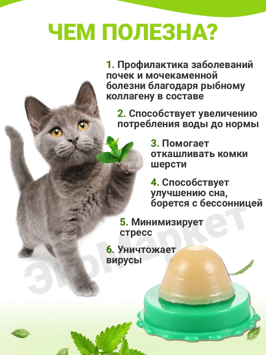 Можно ли давать мяту котятам. Можно ли давать мяту котятам. Кошачья мята на стенку. Как действует кошачья мята на котов. Можно ли давать мяту котятам.