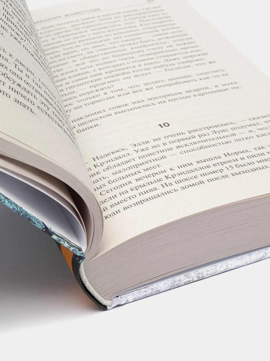 Кладбище домашних животных, Стивен Кинг