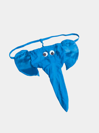Плавки слоник для мужчин фото