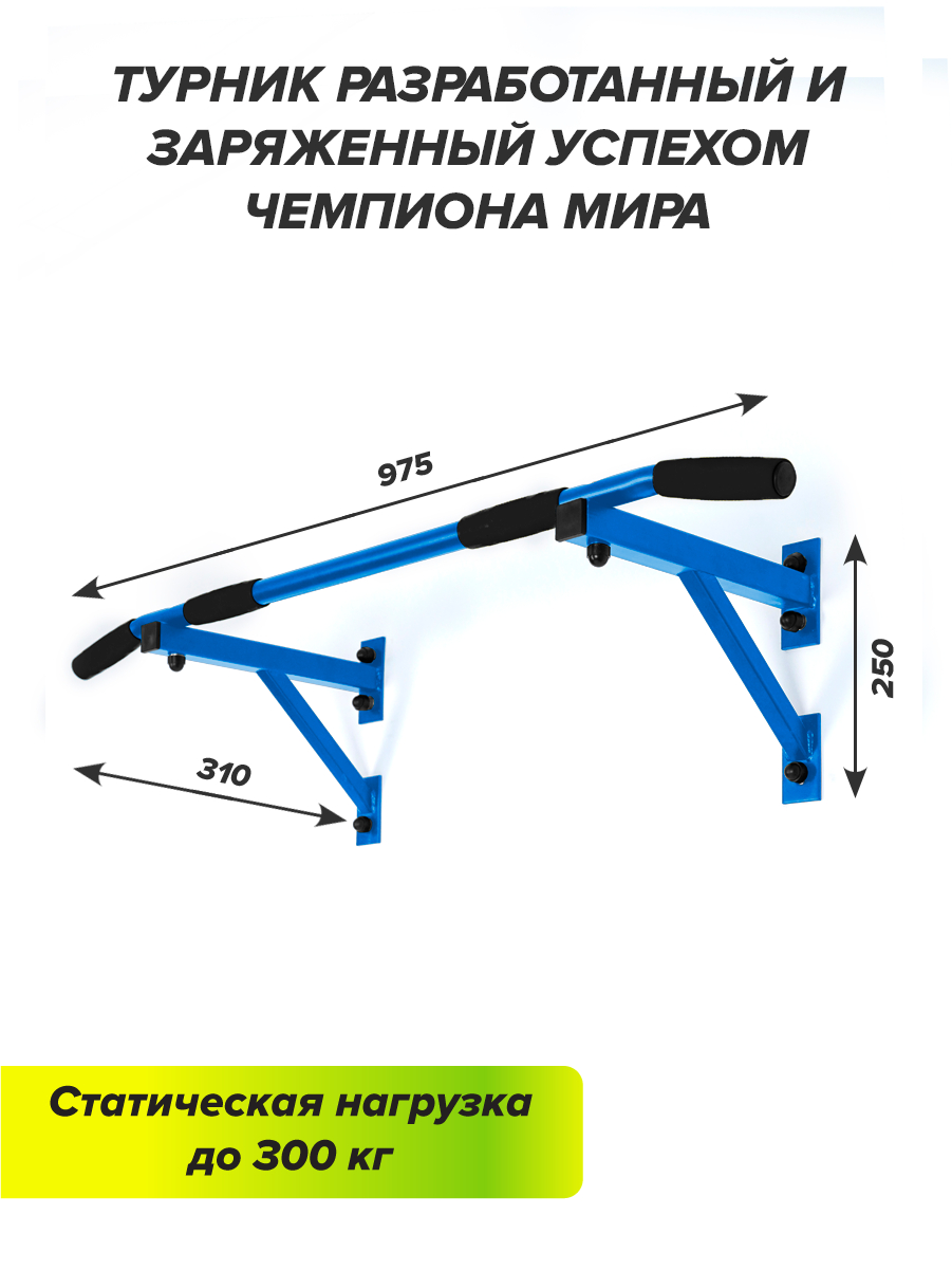 Турник настенный champion