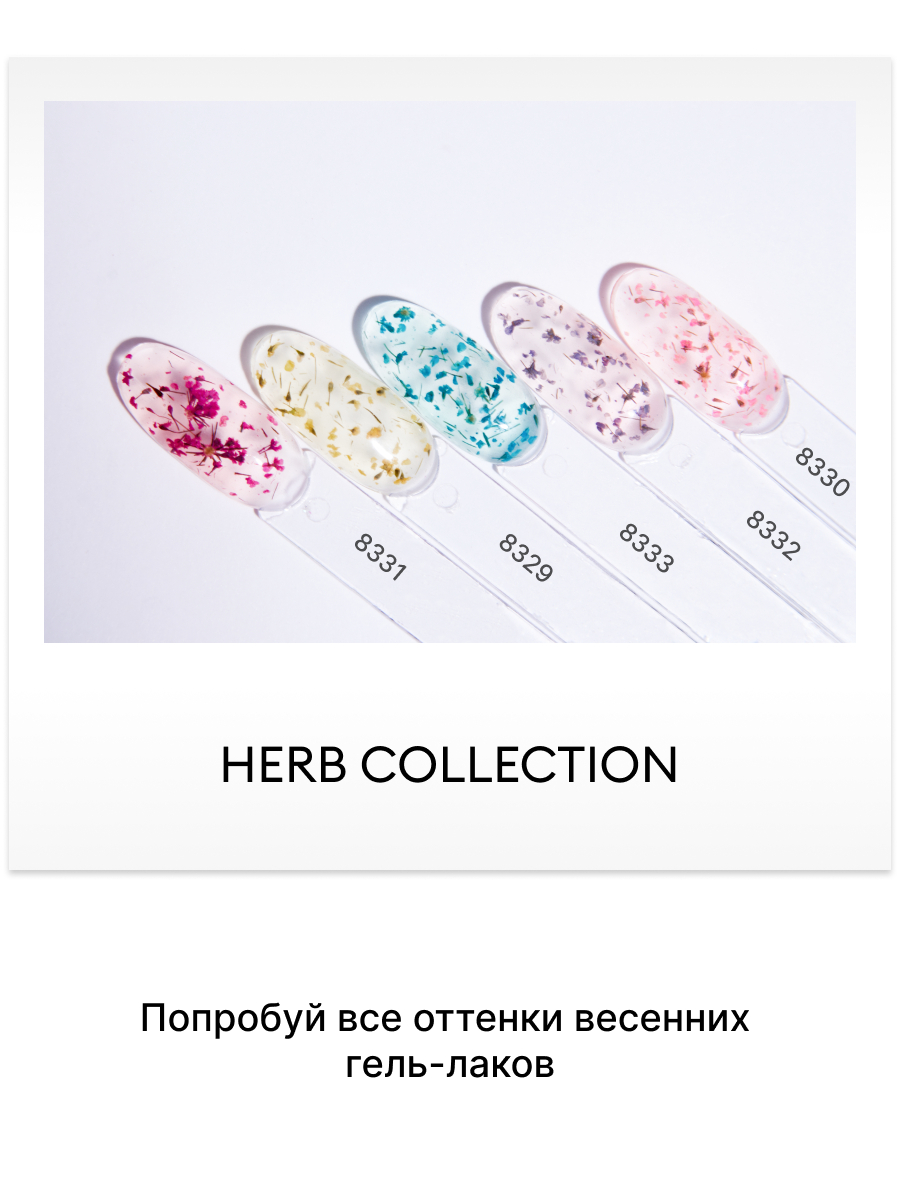 Гель-лак с сухоцветами Herb collection RUNAIL палитра