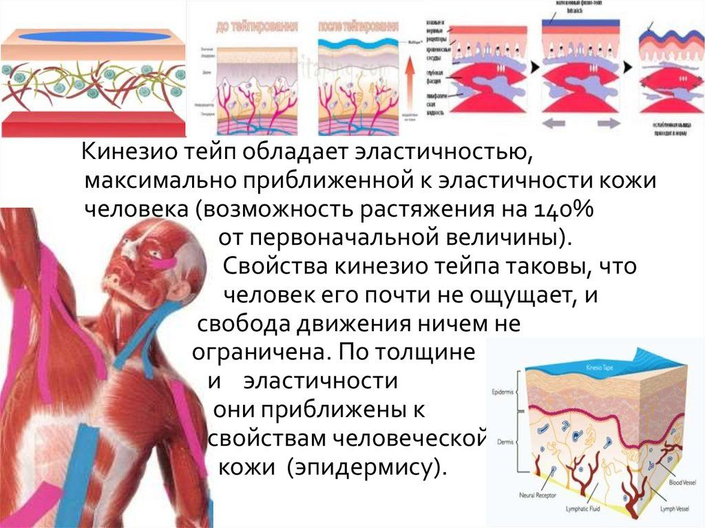 Тейпы для тела схемы