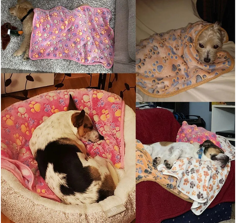 Как выбрать лежак для собаки