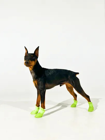 Какие модели обуви для собак можно найти в интернет-магазине?