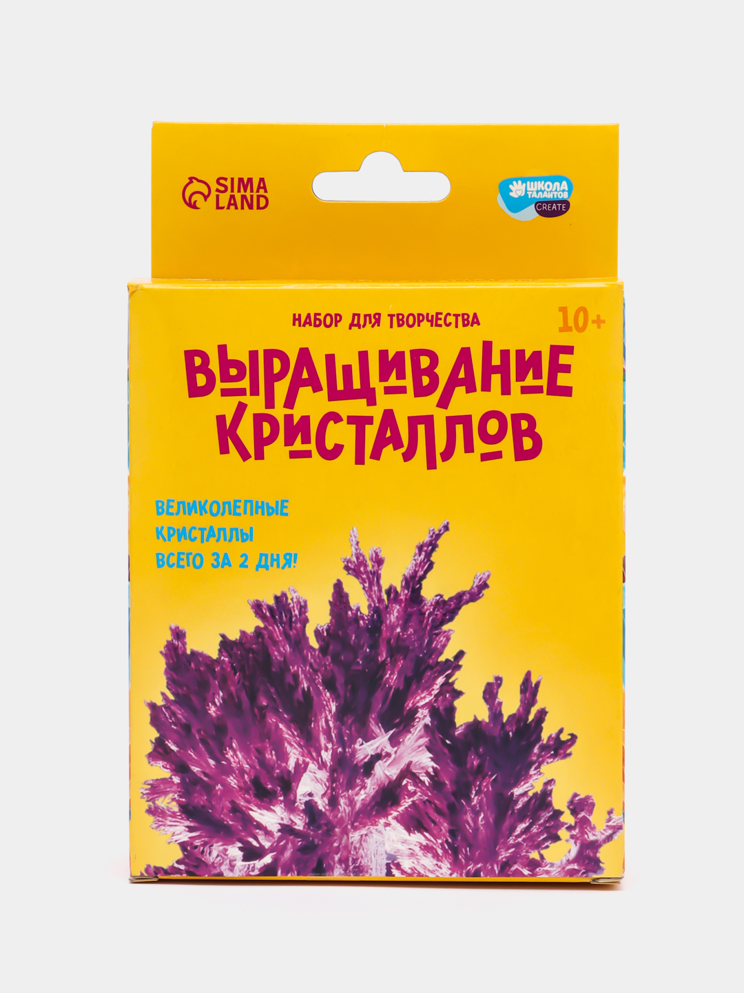 Набор для творчества Лучистые кристаллы химические эксперименты для детей  купить по цене 112.91 ₽ в интернет-магазине KazanExpress