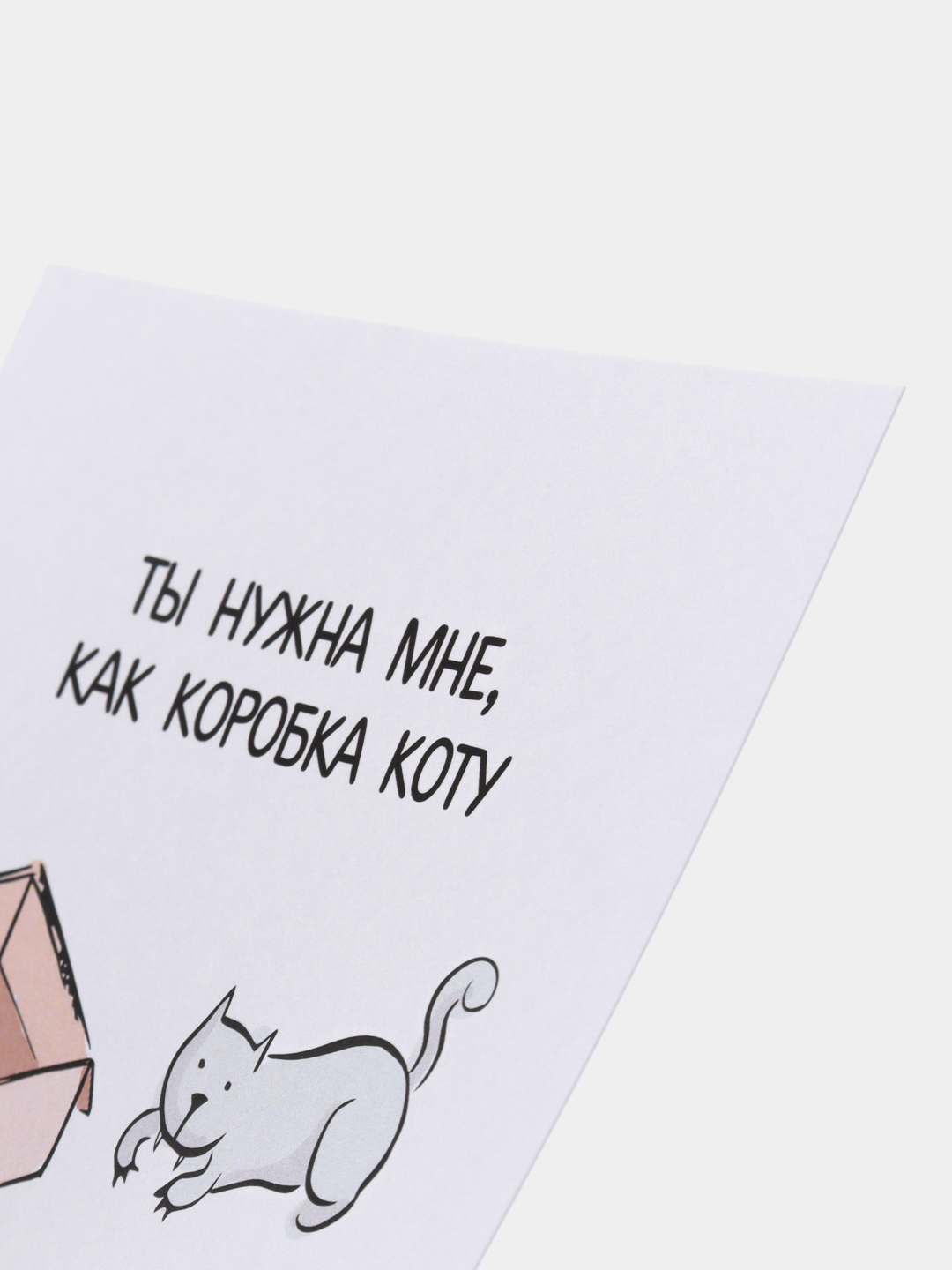 Поздравительные открытки с милыми и забавными котами к Дню рождения