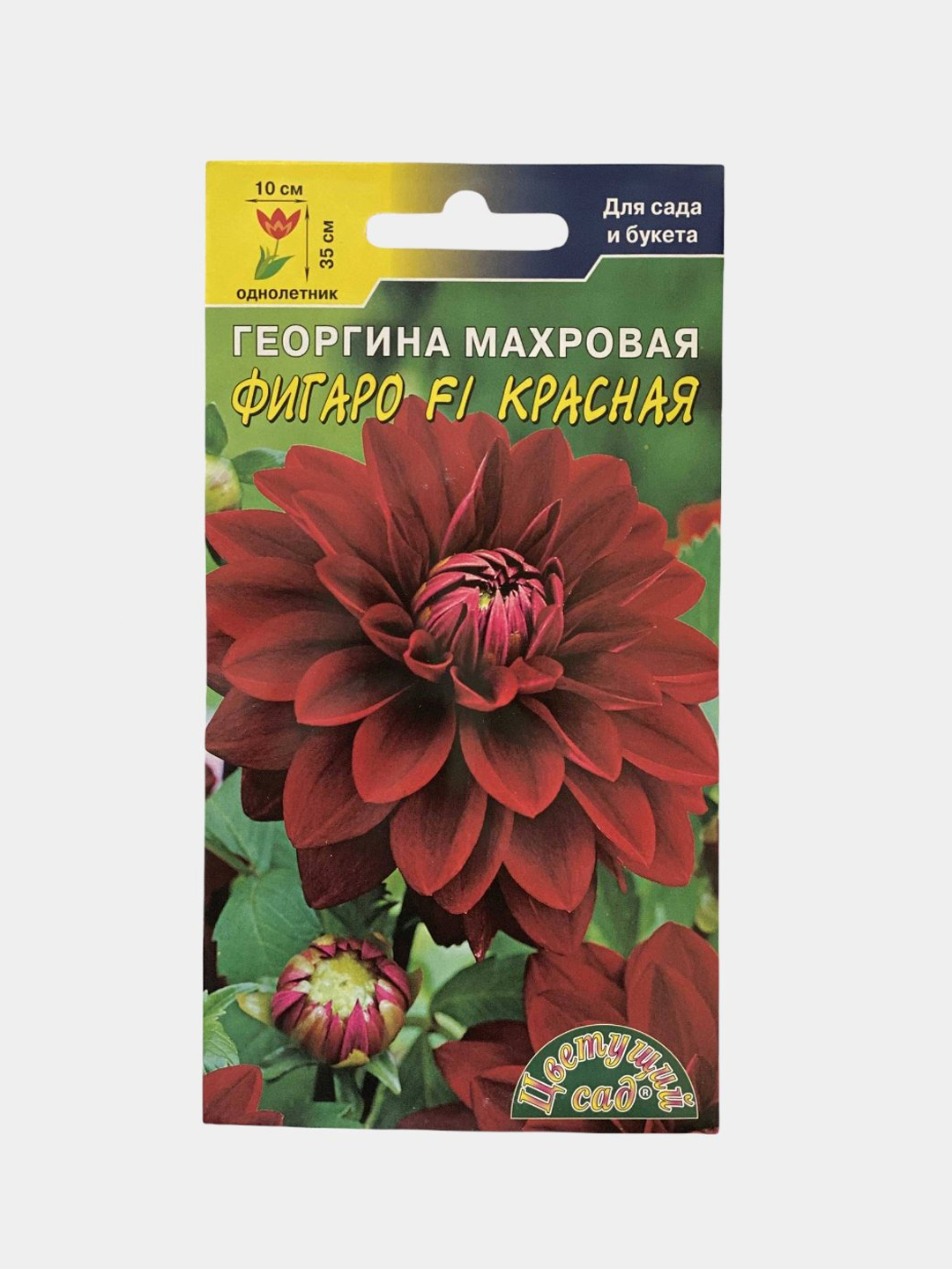 Семена цветы Георгина Фигаро красная купить по цене 72 ₽ в  интернет-магазине KazanExpress