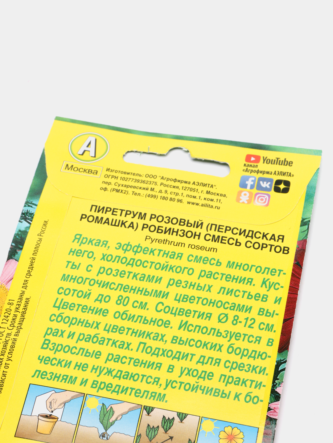 Ромашка Робинзон (семена,цветы) купить по цене 59 ₽ в интернет-магазине  Магнит Маркет