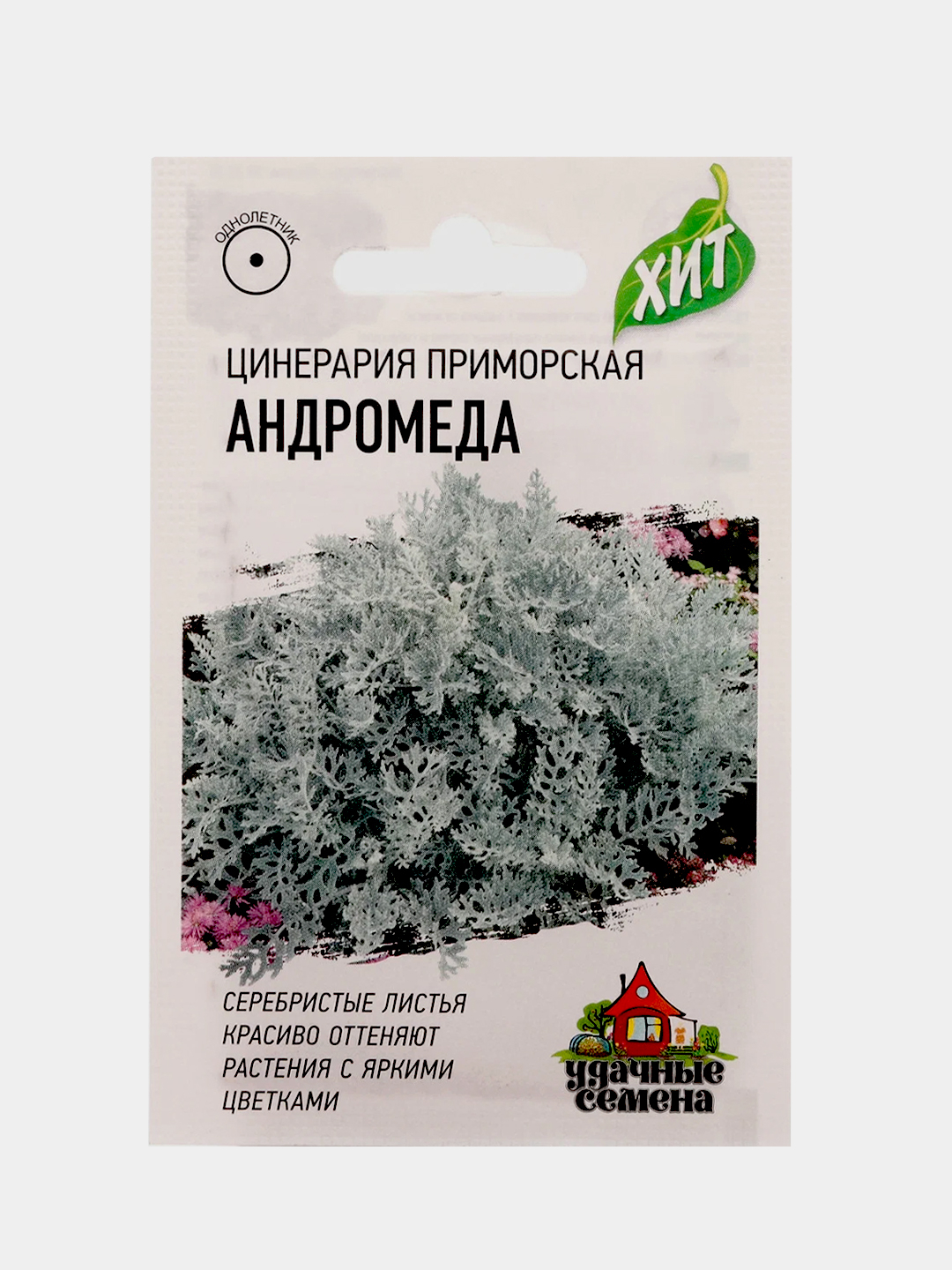 Цинерария Андромеда (семена, цветы) купить по цене 65 ₽ в интернет-магазине  Магнит Маркет