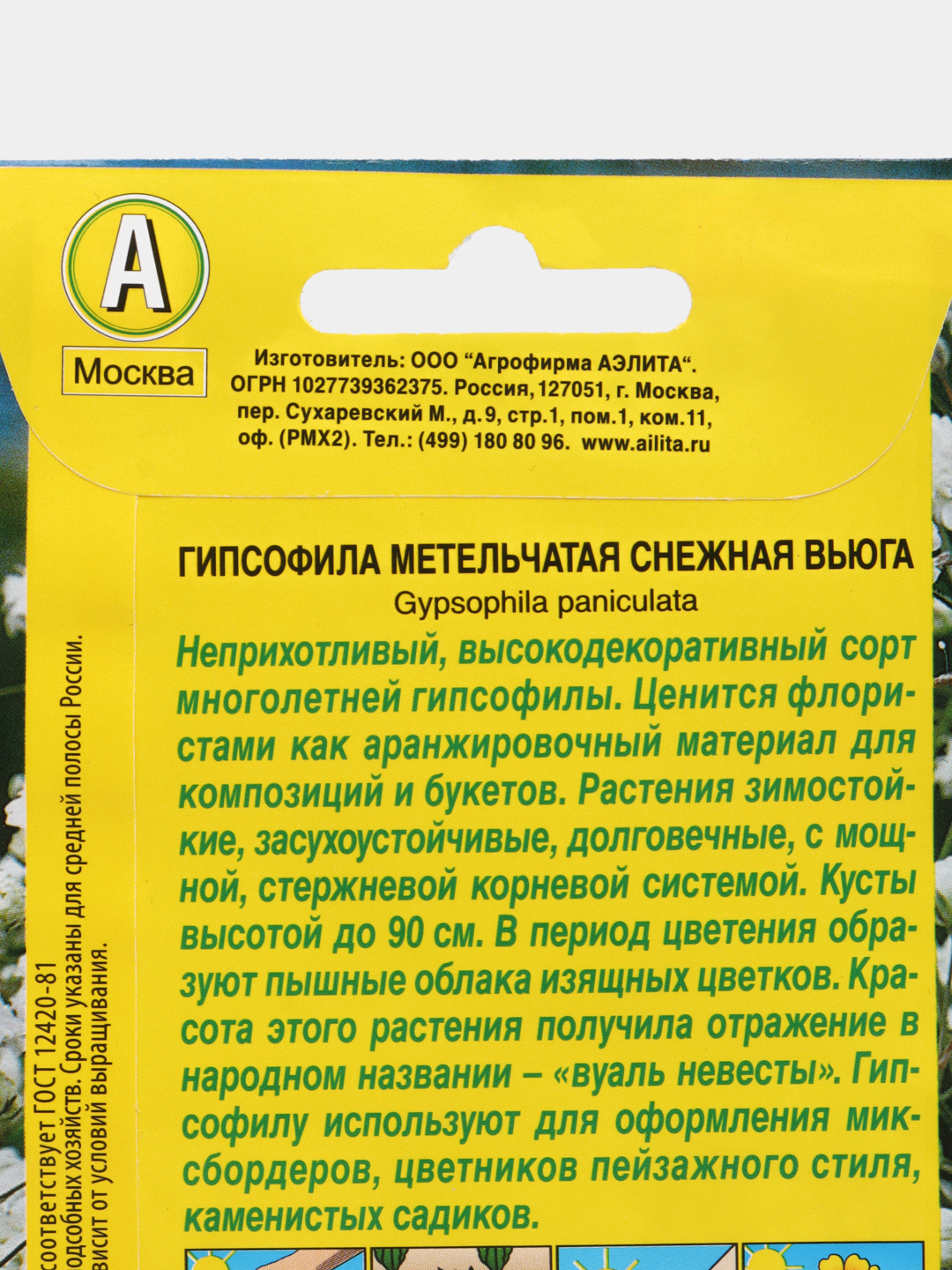 Гипсофила многолетняя метельчатая махровая семена цветов за 64 ₽ купить в  интернет-магазине ПСБ Маркет от Промсвязьбанка