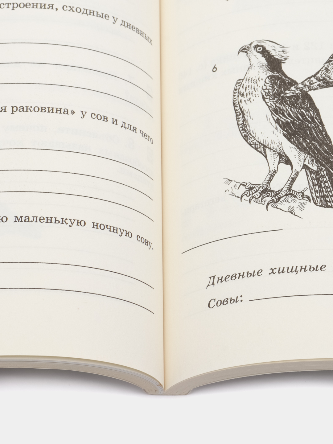 Биология рабочая тетрадь, 7 класс, В. В. Латюшин за 196 ₽ купить в  интернет-магазине ПСБ Маркет от Промсвязьбанка