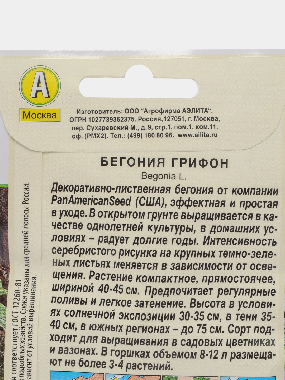 Бегония Грифон Семена Купить