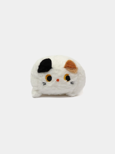 Кубо кот